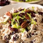 December – Turkey salad with cranberries and toasted pecans